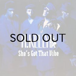 画像1: R. KELLY AND PUBLIC ANNOUNCEMENT / SHE'S GOT THAT VIBE