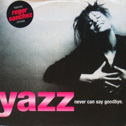 画像1: YAZZ / NEVER CAN SAY GOODBYE