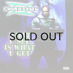 画像1: XZIBIT / WHAT U SEE IS WHAT U GET