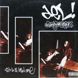 画像1: DEL THE FUNKY HOMOSAPIEN / CATCH A BAD ONE