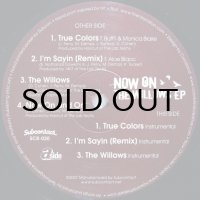 NOW ON / THE WILLOWS EP