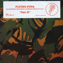画像1: FLYING PUBA / CAN IT