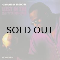 CHUBB ROCK / LOST IN THE STORM