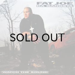 画像1: FAT JOE / WATCH THE SOUND