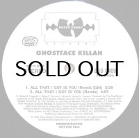 GHOSTFACE KILLAH / ALL THAT I GOT IS YOU（REMIX）