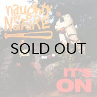 NAUGHTY BY NATURE / IT'S ON