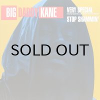 BIG DADDY KANE / VERY SPECIAL