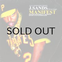 J. SANDS of THE LONE CATALYSTS / MANIFEST