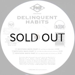 画像2: DELINQUENT HABITS / WESTERN WAYS