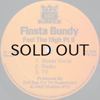 FINSTA BUNDY / FEEL THE HIGH PT II