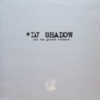 DJ SHADOW AND THE GROOVE ROBBERS / IN/FLUX