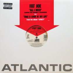 画像1: Fat Joe / All I Need feat. Tony Sunshine & Armageddon 