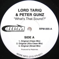 LORD TARIQ & PETER GUNZ / WHAT'S THAT SOUND?