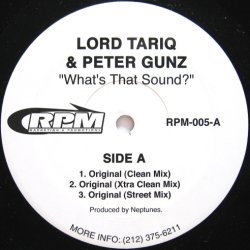 画像1: LORD TARIQ & PETER GUNZ / WHAT'S THAT SOUND?