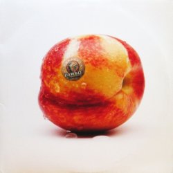 画像1: CHEROKEE / NECTARINE