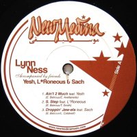 Lynn Ness - Ain't 2 Much