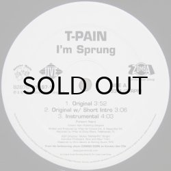 画像2: T-Pain - I'm Sprung