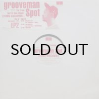Grooveman Spot ‎– Eternal Development EP2