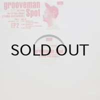 Grooveman Spot ‎– Eternal Development EP2
