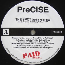 画像1: PreCISE - The Spot