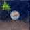 画像2: Tom LaRock – Disc Jockey's Delight (2)