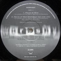 Workshy - Pieces Of Mind