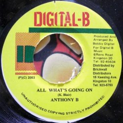 画像1: Anthony B – All What's Going On