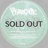 The Pharcyde / Masta Ace Incorporated – Summa' Madness '93 Remixes