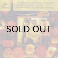 J.Boogie's Dubtronic Science – Try Me