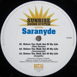 画像1: Sunrise Sound System – Before You Walk Out Of My Life