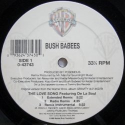 画像1: Bush Babees – The Love Song (The Remix)