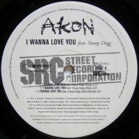 Akon feat. Snoop Dogg – I Wanna Love You