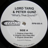 Lord Tariq & Peter Gunz – What's That Sound?