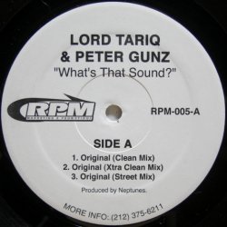 画像1: Lord Tariq & Peter Gunz – What's That Sound?