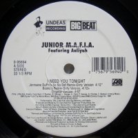 Junior M.A.F.I.A. featuring Aaliyah – I Need You Tonight