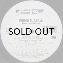 画像1: Junior M.A.F.I.A. featuring Aaliyah – I Need You Tonight
