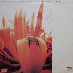 画像1: Pelding – Days In Shades Of Grey / Streetbuzz