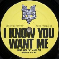Young Buck – I Know You Want Me / Do It Myself