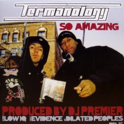 画像1: Termanology – So Amazing / Low IQ