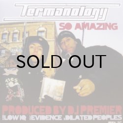 画像1: Termanology – So Amazing / Low IQ