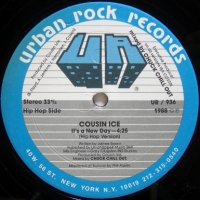 Cousin Ice – It's A New Day