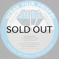 Cousin Ice – It's A New Day