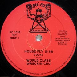 画像1: World Class Wreckin' Cru – House Fly