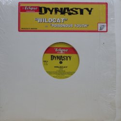 画像2: Dynasty – Wildcat / Poisonous Youth