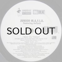 Junior M.A.F.I.A. featuring Aaliyah – I Need You Tonight