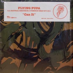 画像1: Flying Pupa – Can It