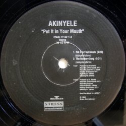 画像1: Akinyele – Put It In Your Mouth