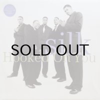 Silk – Hooked On You