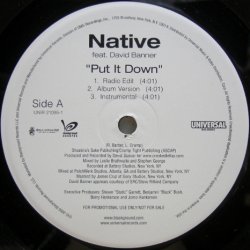 画像1: Native feat. David Banner – Put It Down