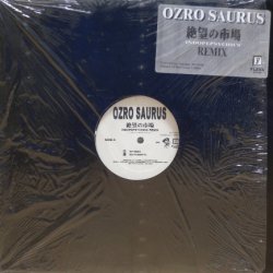 画像2: Ozro Saurus – 絶望の市場 (Indopepsychics Remix)